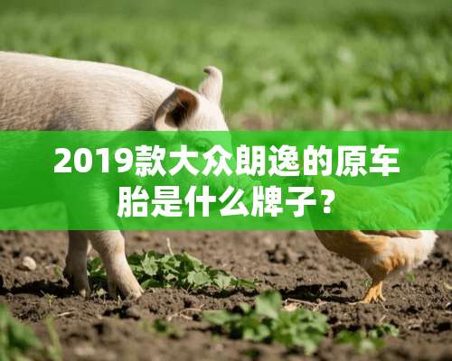 2019款大众朗逸的原车胎是什么牌子？