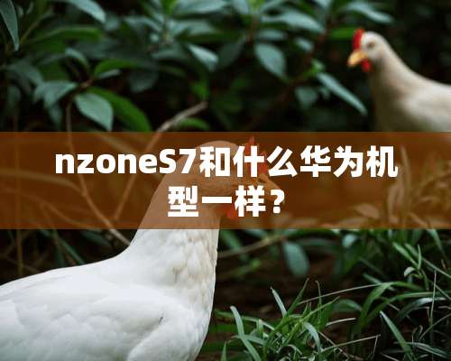 nzoneS7和什么华为机型一样？