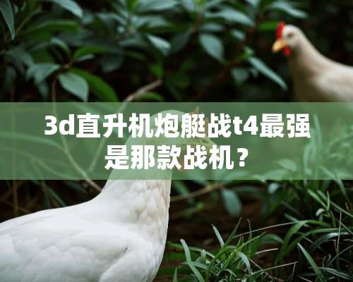 3d直升机*艇战t4最强是那款战机？