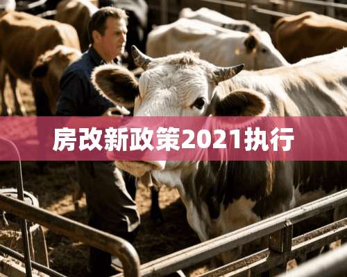 房改新政策2021执行