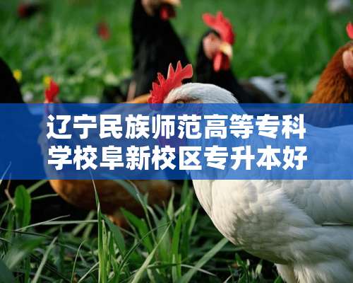 辽宁民族师范高等专科学校阜新校区专升本好升吗