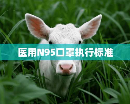 医用N95口罩执行标准