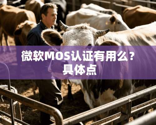 微软MOS认证有用么？ 具体点