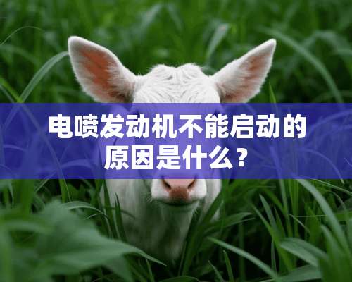 电喷发动机不能启动的原因是什么？