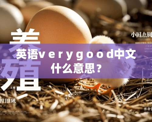 英语v e r y g o o d中文什么意思？