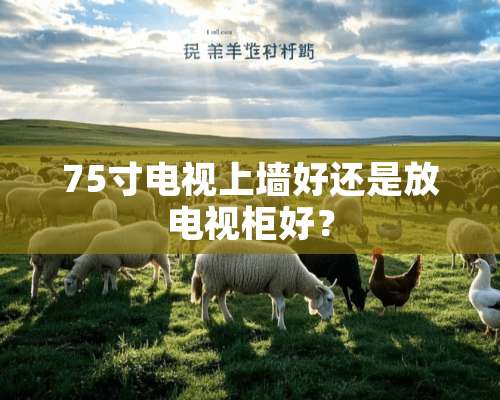 75寸电视上墙好还是放电视柜好？