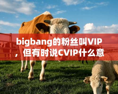 bigbang的粉丝叫VIP，但有时说CVIP什么意思？