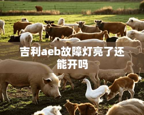 吉利aeb故障灯亮了还能开吗