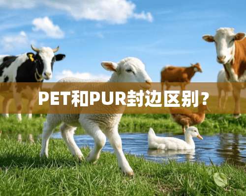 PET和PUR封边区别？