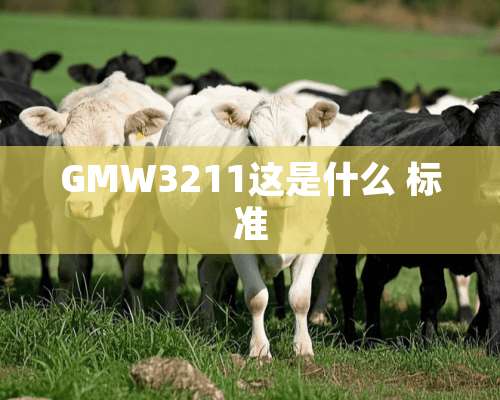 GMW3211这是什么 标准