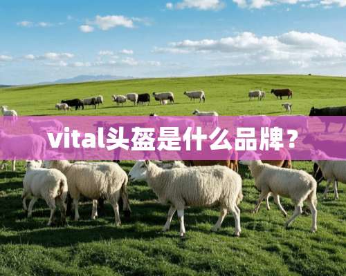 vital头盔是什么品牌？