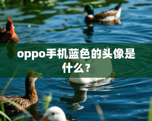 oppo手机蓝色的头像是什么？