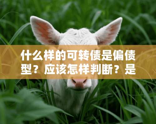 什么样的可转债是偏债型？应该怎样判断？是根据转股溢价率还是转债溢价率？？