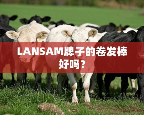 LANSAM牌子的卷发棒好吗？