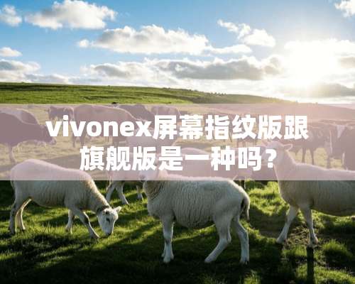 vivonex屏幕指纹版跟旗舰版是一种吗？