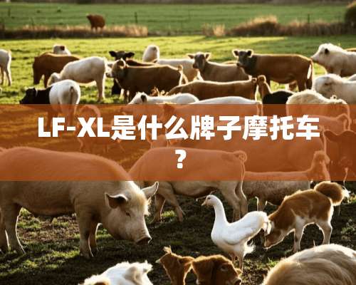 LF-XL是什么牌子摩托车？