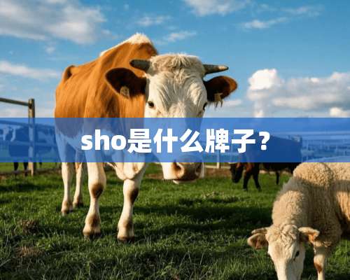 sho是什么牌子？