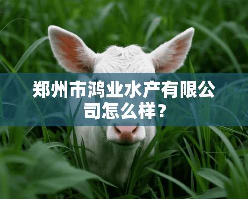 郑州市鸿业水产有限公司怎么样？