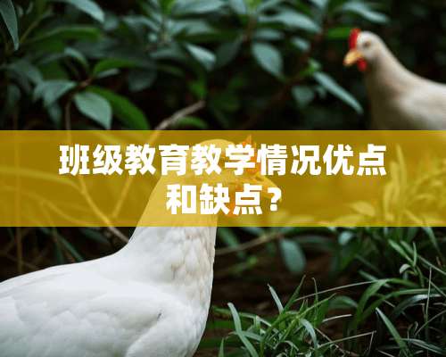 班级教育教学情况优点和缺点？