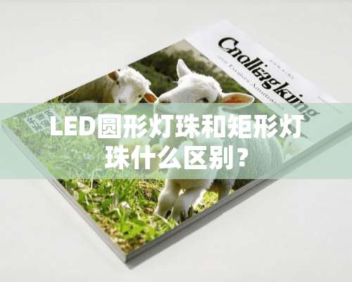 LED圆形灯珠和矩形灯珠什么区别？