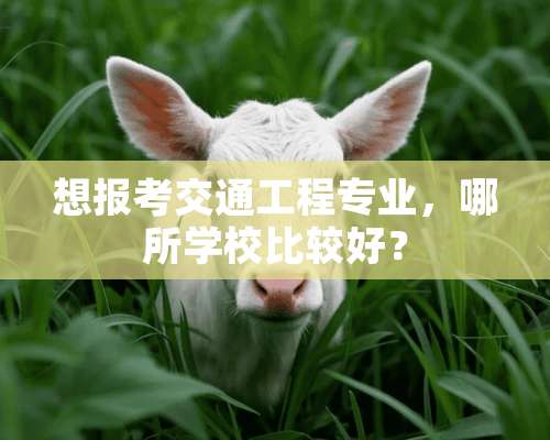 想报考交通工程专业，哪所学校比较好？