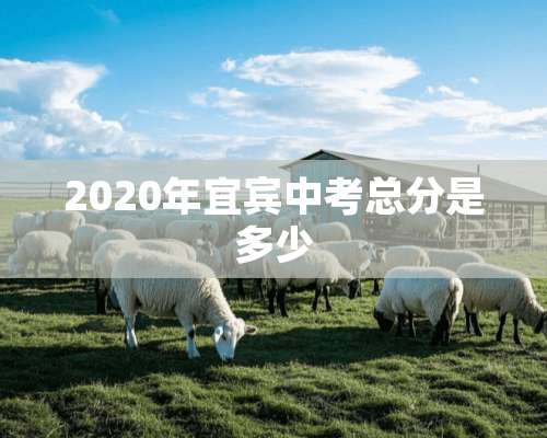 2020年宜宾中考总分是多少