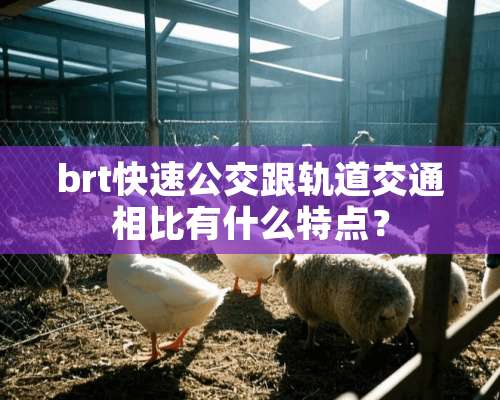 brt快速公交跟轨道交通相比有什么特点？