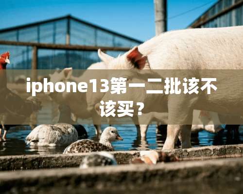 iphone13第一二批该不该买？