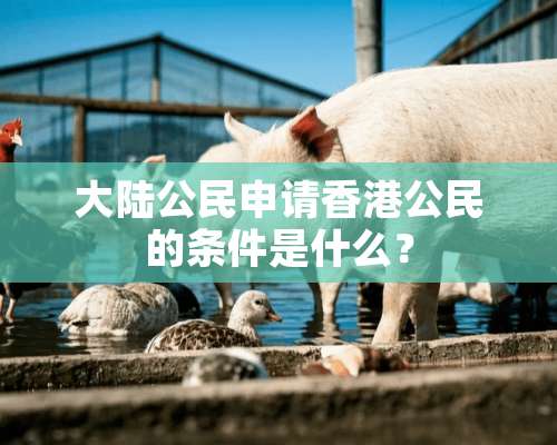 大陆公民申请香港公民的条件是什么？