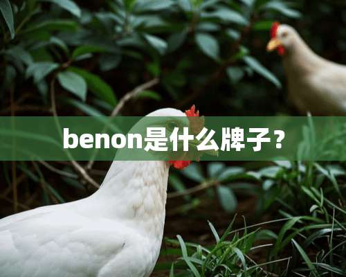 benon是什么牌子？