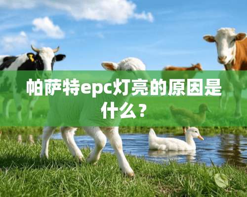 ***epc灯亮的原因是什么？