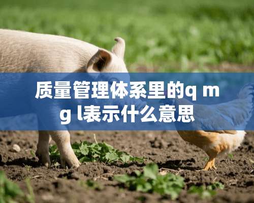 质量管理体系里的q mg l表示什么意思