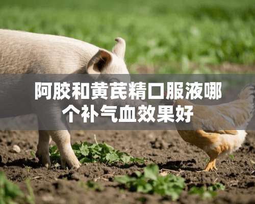 阿胶和黄芪精口服液哪个补气血效果好