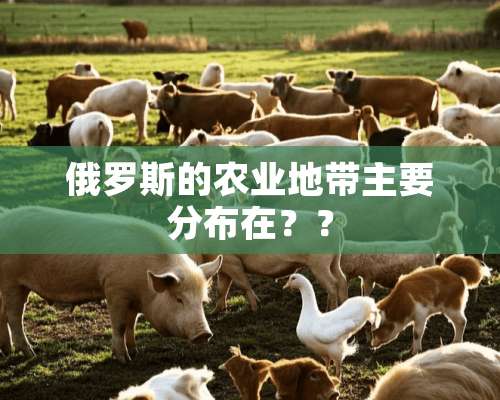 俄罗斯的农业地带主要分布在？？