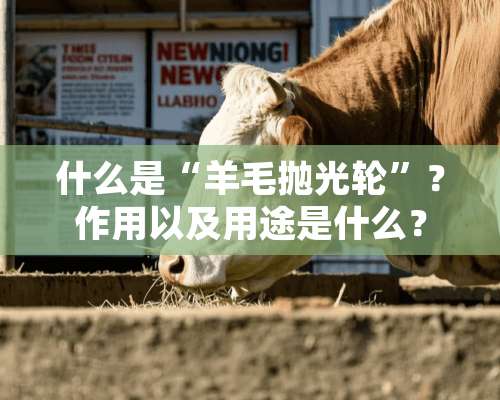 什么是“羊毛抛光轮”？作用以及用途是什么？