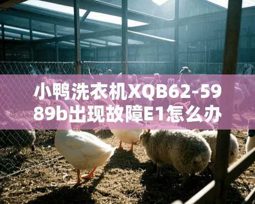 小鸭洗衣机XQB62-5989b出现故障E1怎么办