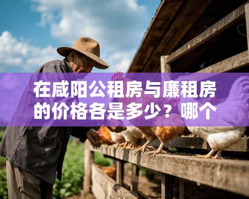 在咸阳公租房与廉租房的价格各是多少？哪个相对能好些，一般可以住多久？