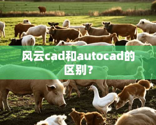 风云cad和autocad的区别？