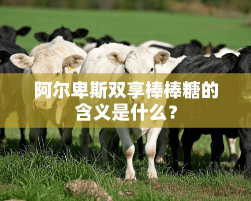 阿尔卑斯双享棒棒糖的含义是什么？