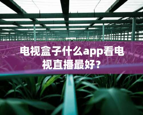 电视盒子什么app看电视直播最好？