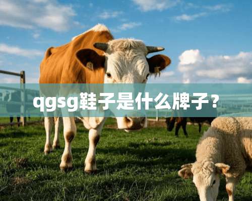 qgsg鞋子是什么牌子？