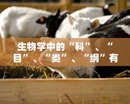 生物学中的“科”、“目”、“类”、“纲”有什么区别？