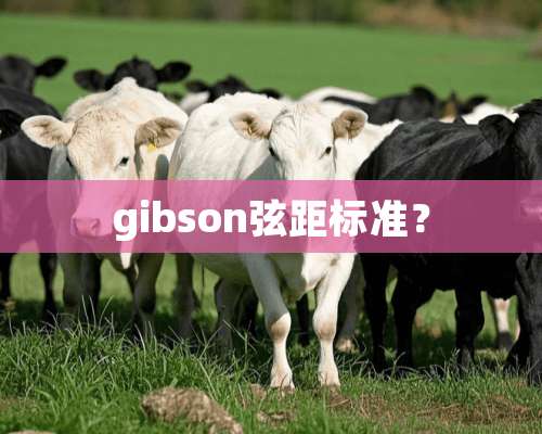 gibson弦距标准？