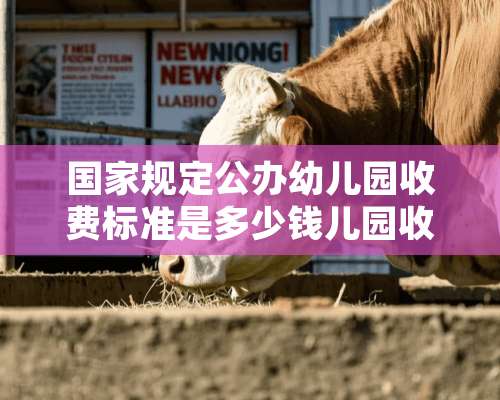 国家规定公办幼儿园收费标准是多少钱儿园收