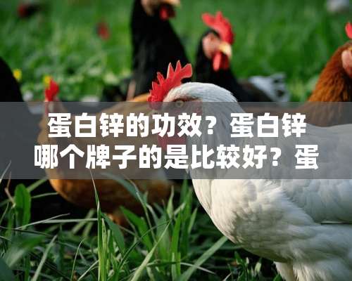 蛋白锌的功效？蛋白锌哪个牌子的是比较好？蛋白锌是什么？