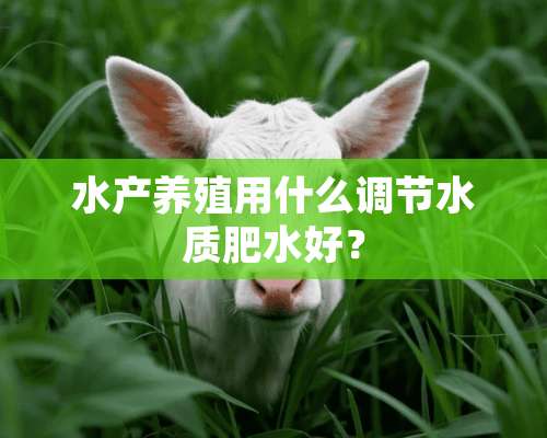 水产养殖用什么调节水质肥水好？