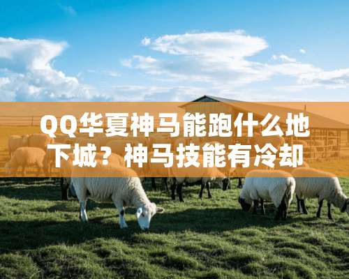 QQ华夏神马能跑什么**城？神马技能有**么？