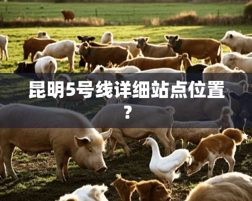 昆明5号线详细站点位置？