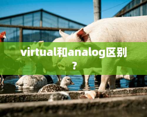 virtual和analog区别？