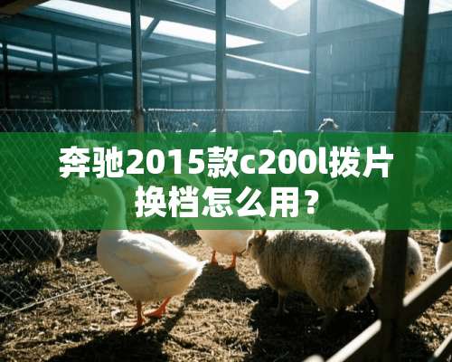 奔驰2015款c200l拨片换档怎么用？